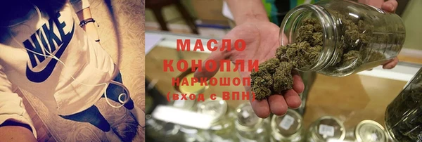 молекула духа Верхний Тагил