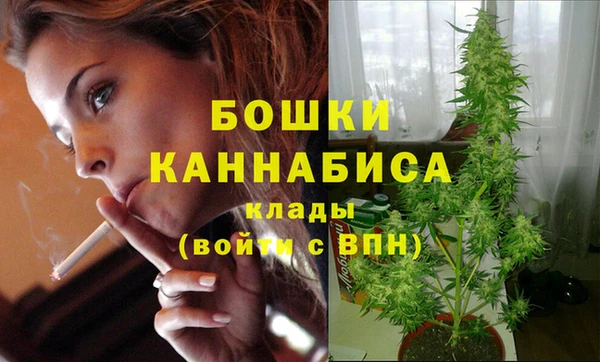 молекула духа Верхний Тагил