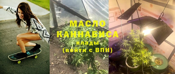 молекула духа Верхний Тагил