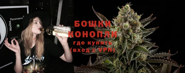 спайс Верея