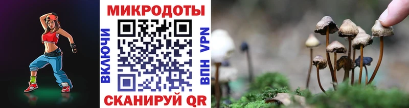 Псилоцибиновые грибы Psilocybe Пролетарск